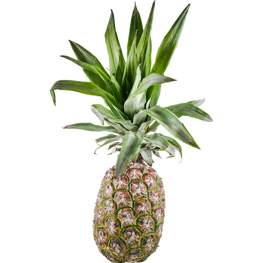 Piña Criolla 1 kg | HIPERMAXI JUAN DE LA ROSA | Hipermaxi